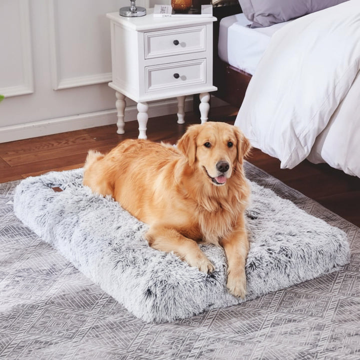 Hundbädd memory foam – Memory foam bädd för hund & katt