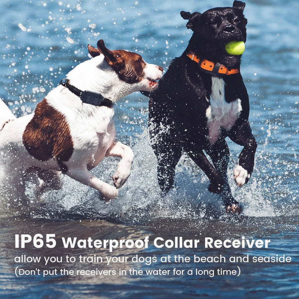 Waterproof Remote Dog Training Collar with Vibration & Shock