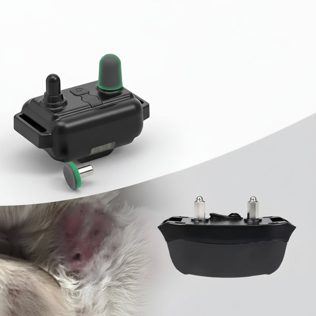 Waterproof Remote Dog Training Collar with Vibration & Shock