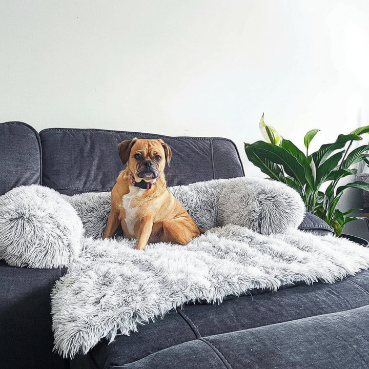 Copridivano per cani in morbido peluche lavabile - Tappetino copriletto antisporco