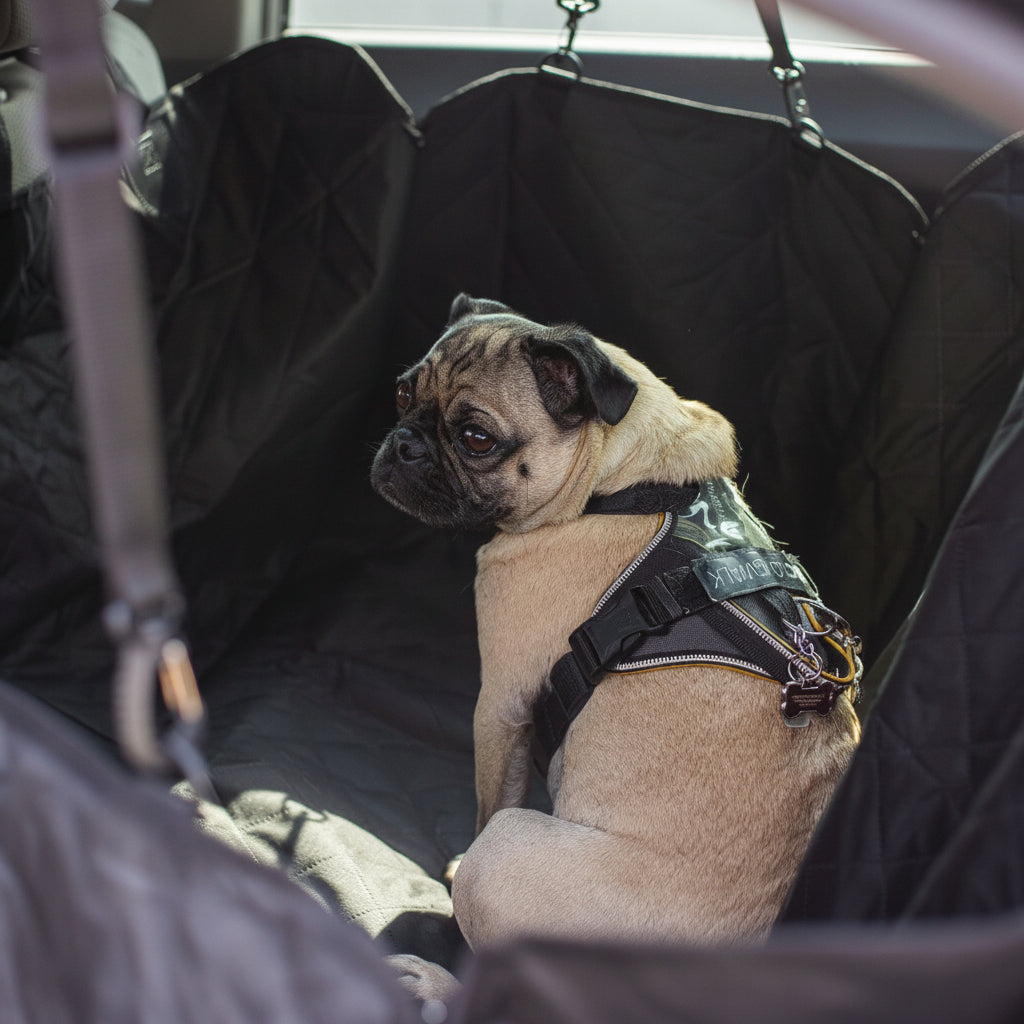 Coprisedile Auto per Cani Impermeabile Antiscivolo Proteggi Sedile