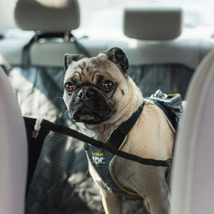 Coprisedile Auto per Cani Impermeabile Antiscivolo Proteggi Sedile