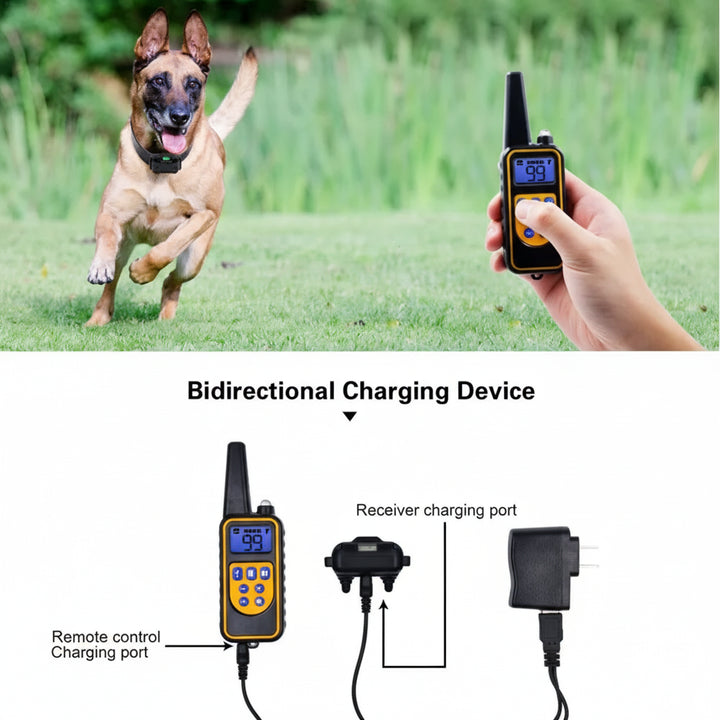Waterproof Remote Dog Training Collar with Vibration & Shock
