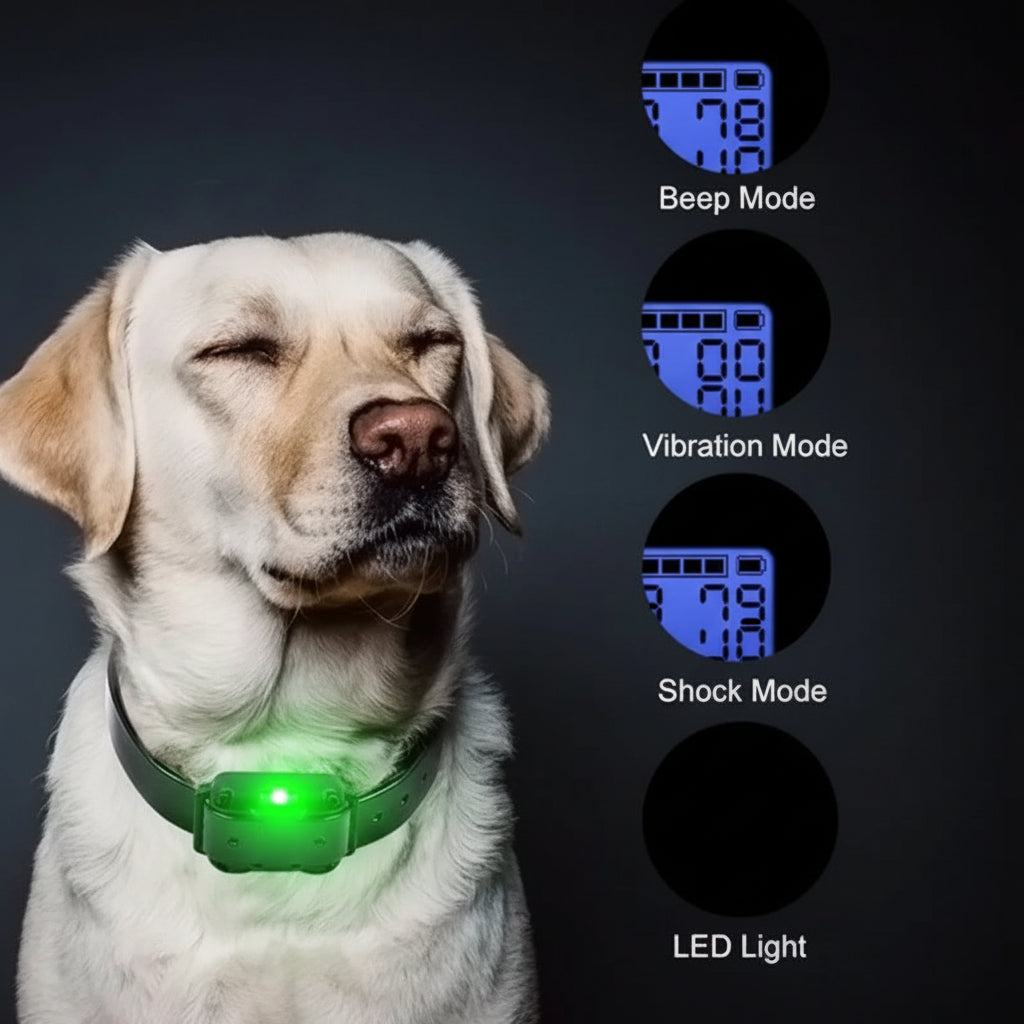 Waterproof Remote Dog Training Collar with Vibration & Shock