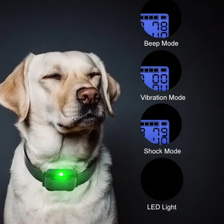 Waterproof Remote Dog Training Collar with Vibration & Shock