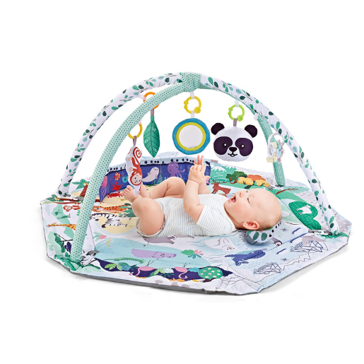 Baby Play Mat With Arch And 6 Detachable Sensory Toys - Image 1