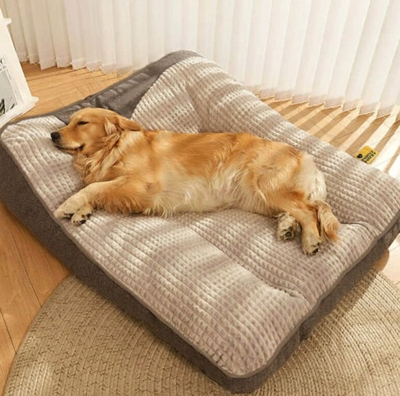 Cozynest Orthopedic Dog Bed With Scratch-Resistant Exterior And Removable Cover - Image 10