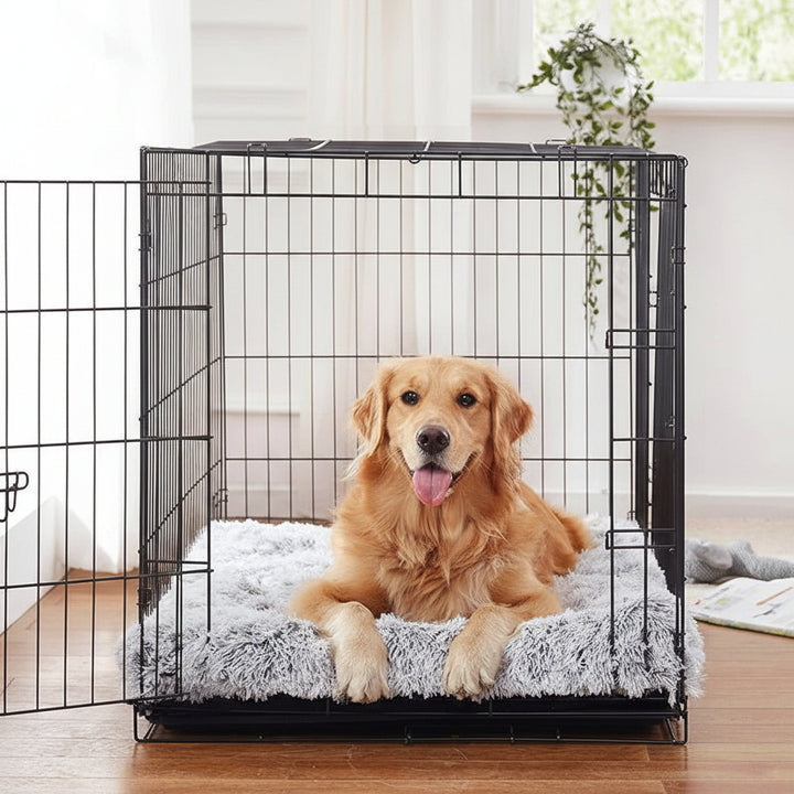 Hundbädd memory foam – Memory foam bädd för hund & katt