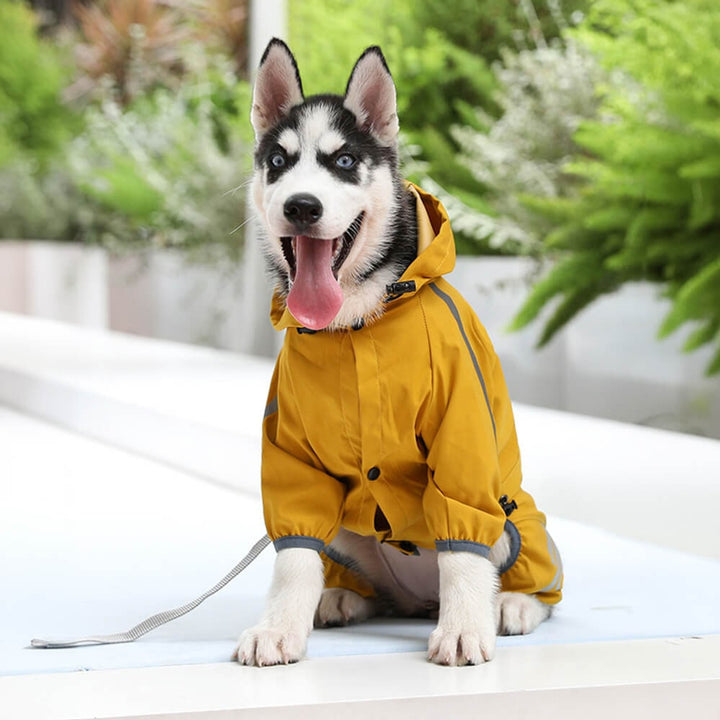 Dog Raincoat With Water-Repellent Material And Reflective Details - Image 8