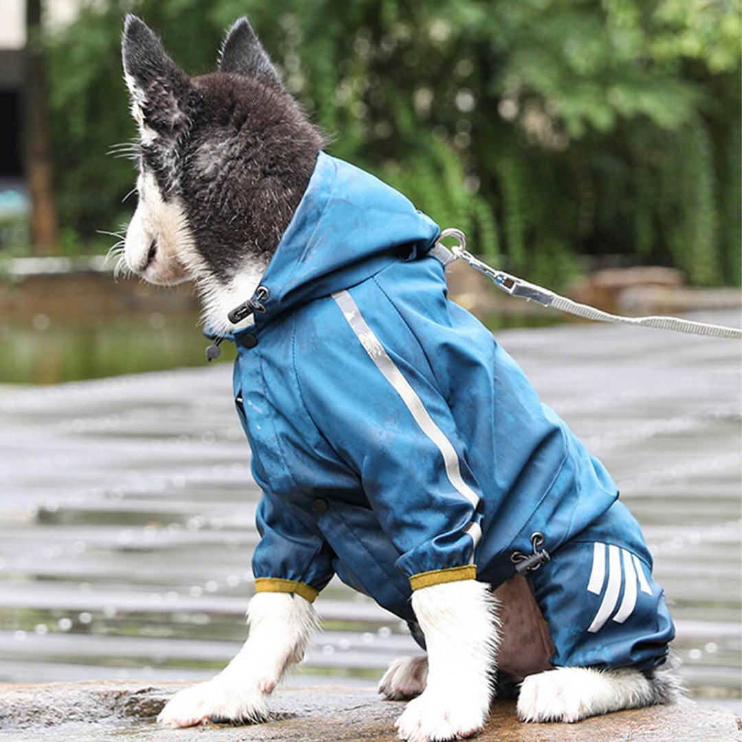 Dog Raincoat With Water-Repellent Material And Reflective Details - Image 5