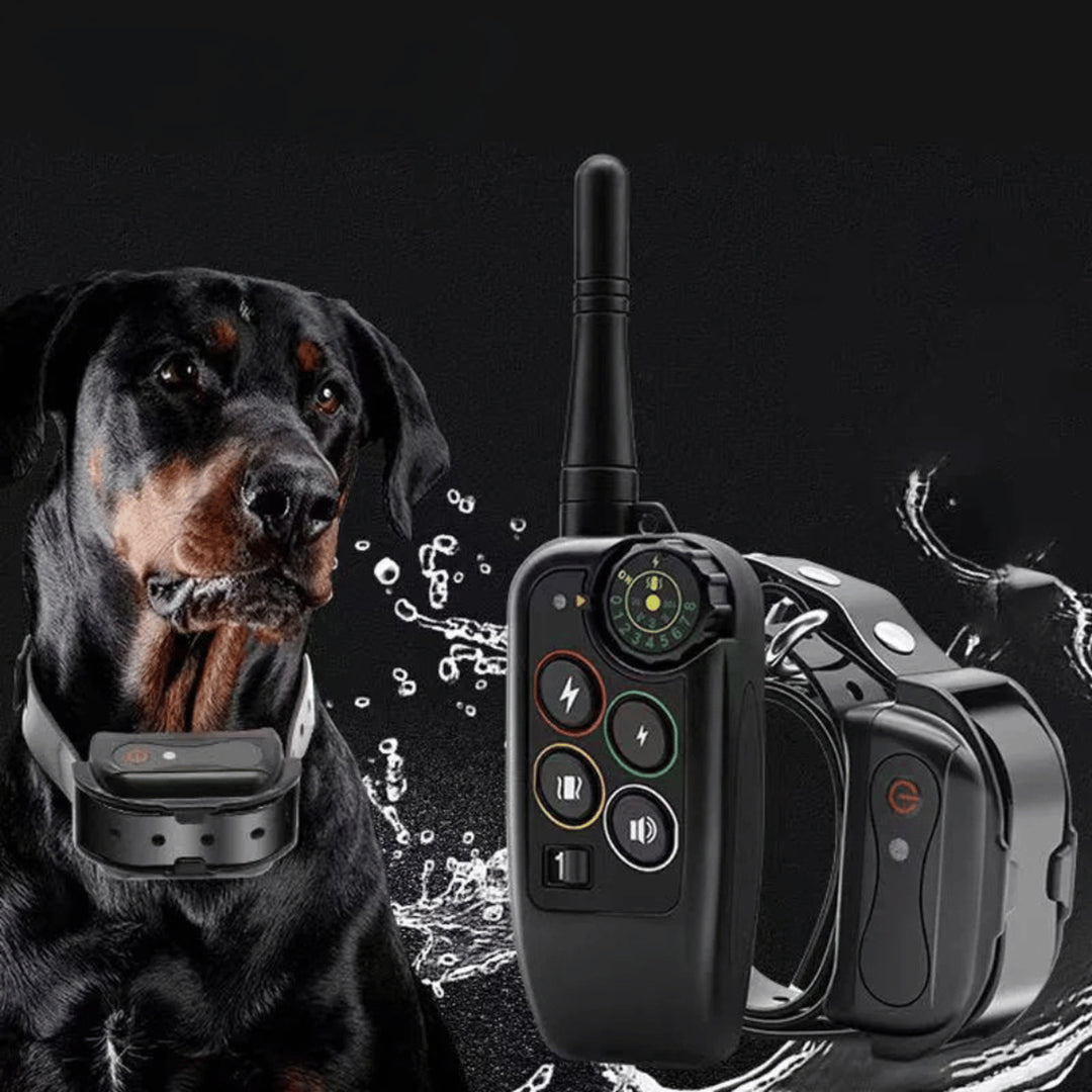 Dog Training E-Collar With Remote Long-Range 1000m Waterproof - Image 2
