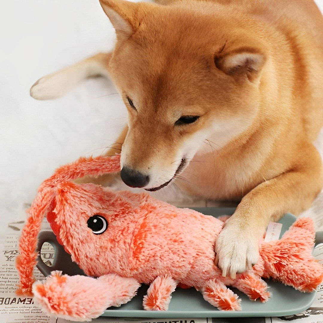 Floppy Lobster Interactive Dog Toy With Realistic Texture For Tug-Of-War And Fetch - Image 1