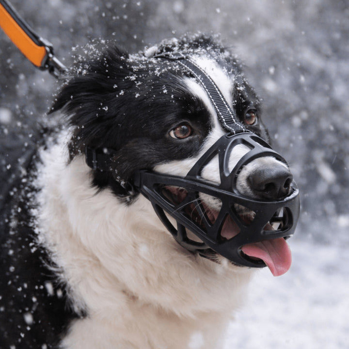Gentle Dog Muzzle For Calm Safe Everyday Walks - Image 1