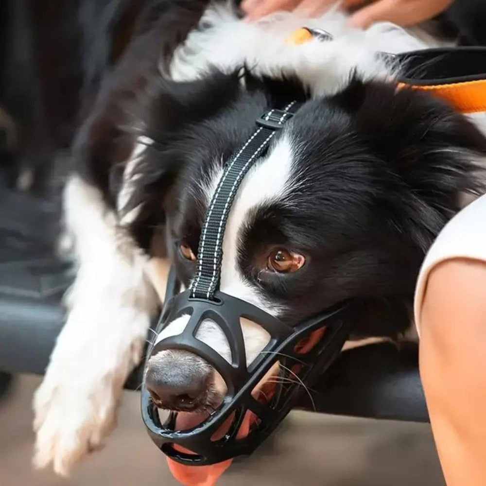 Gentle Dog Muzzle For Calm Safe Everyday Walks - Image 3