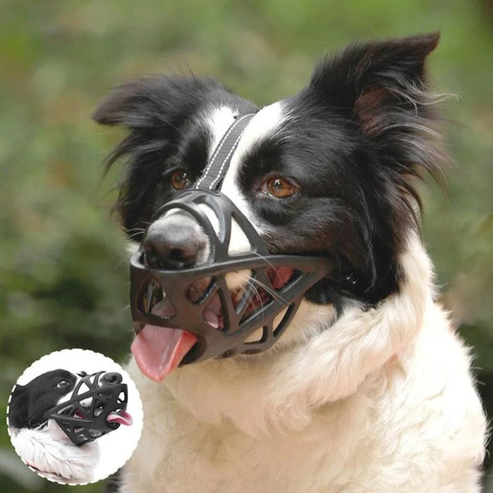 Gentle Dog Muzzle For Calm Safe Everyday Walks - Image 5