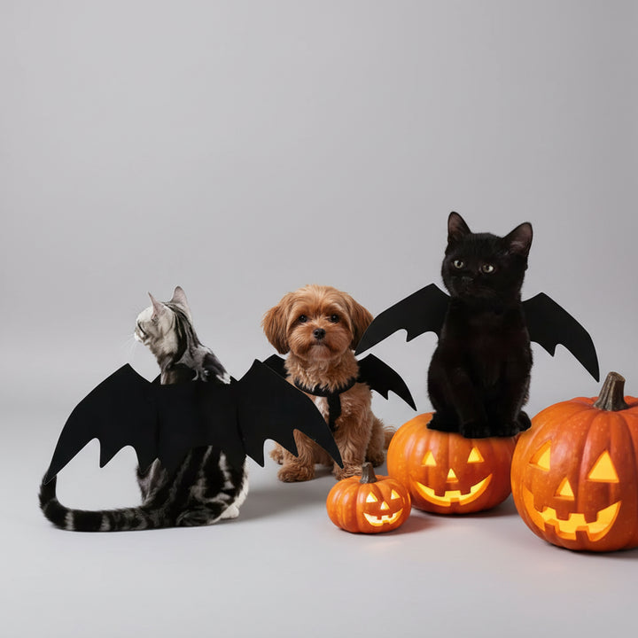 Halloween Accessories Dog Costume Cat Costume Fun Design - Image 2