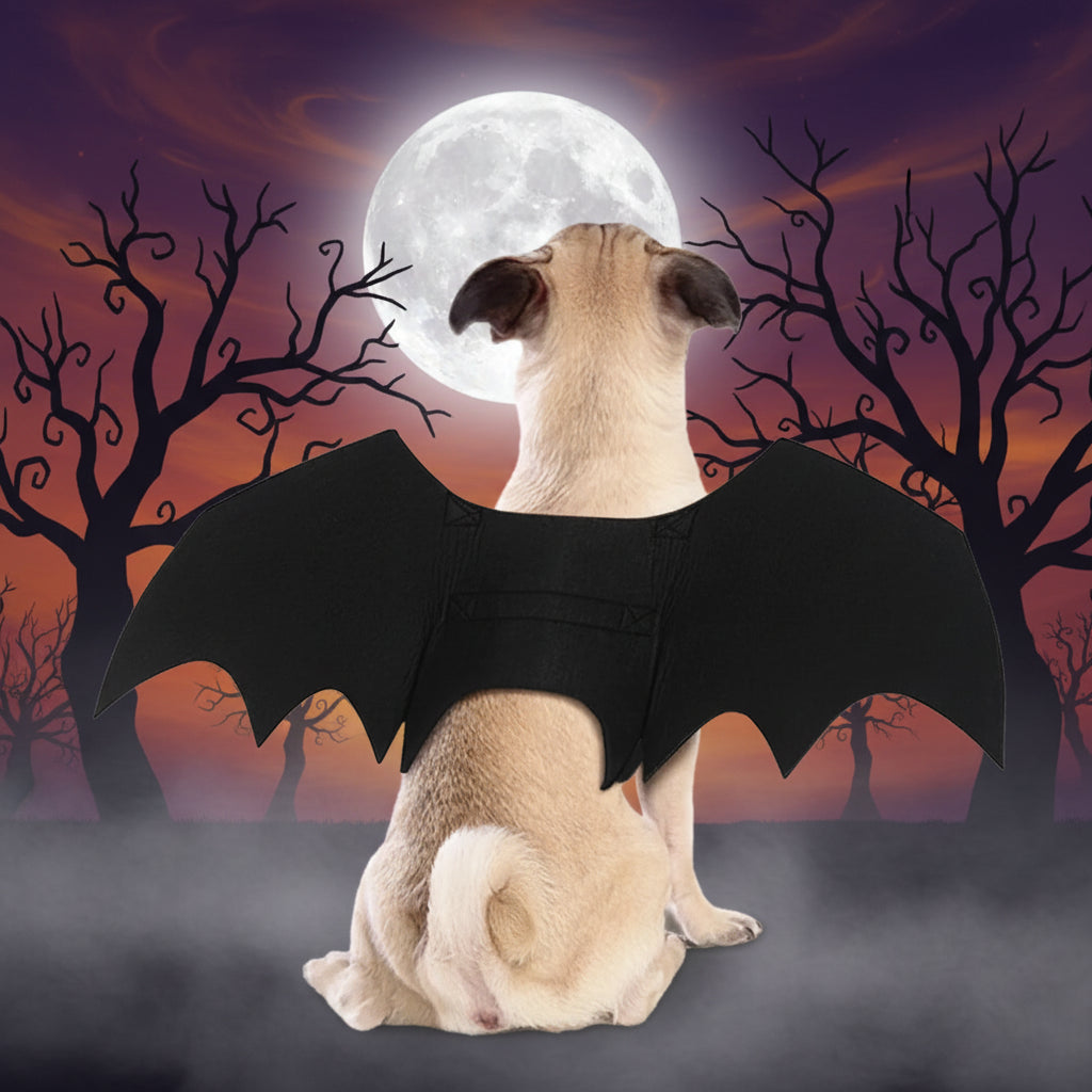 Halloween Accessories Dog Costume Cat Costume Fun Design - Image 3