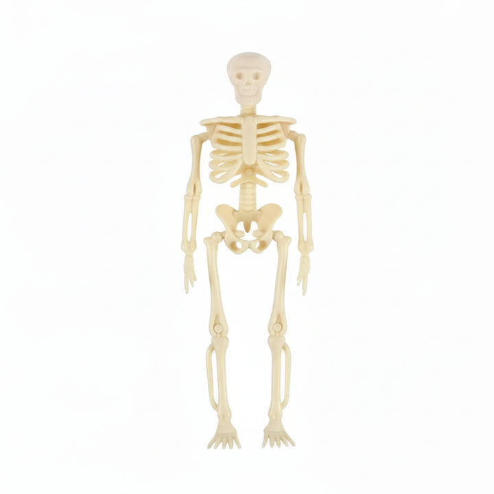 Halloween Decoration Skeletons Mini Figurines Set Gothic - Image 5