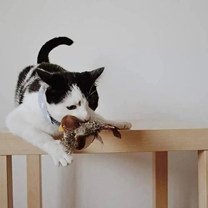 Interactive Bird Cat Toy With Flapping Wings And Chirping Sound For Indoor Cats - Image 11