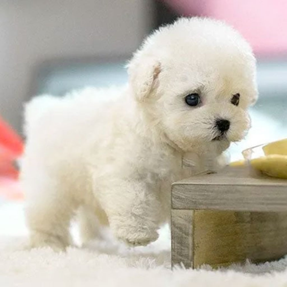 Interactive Plush Toy Puppy Companion Stuffed Puppy Toy - Image 2