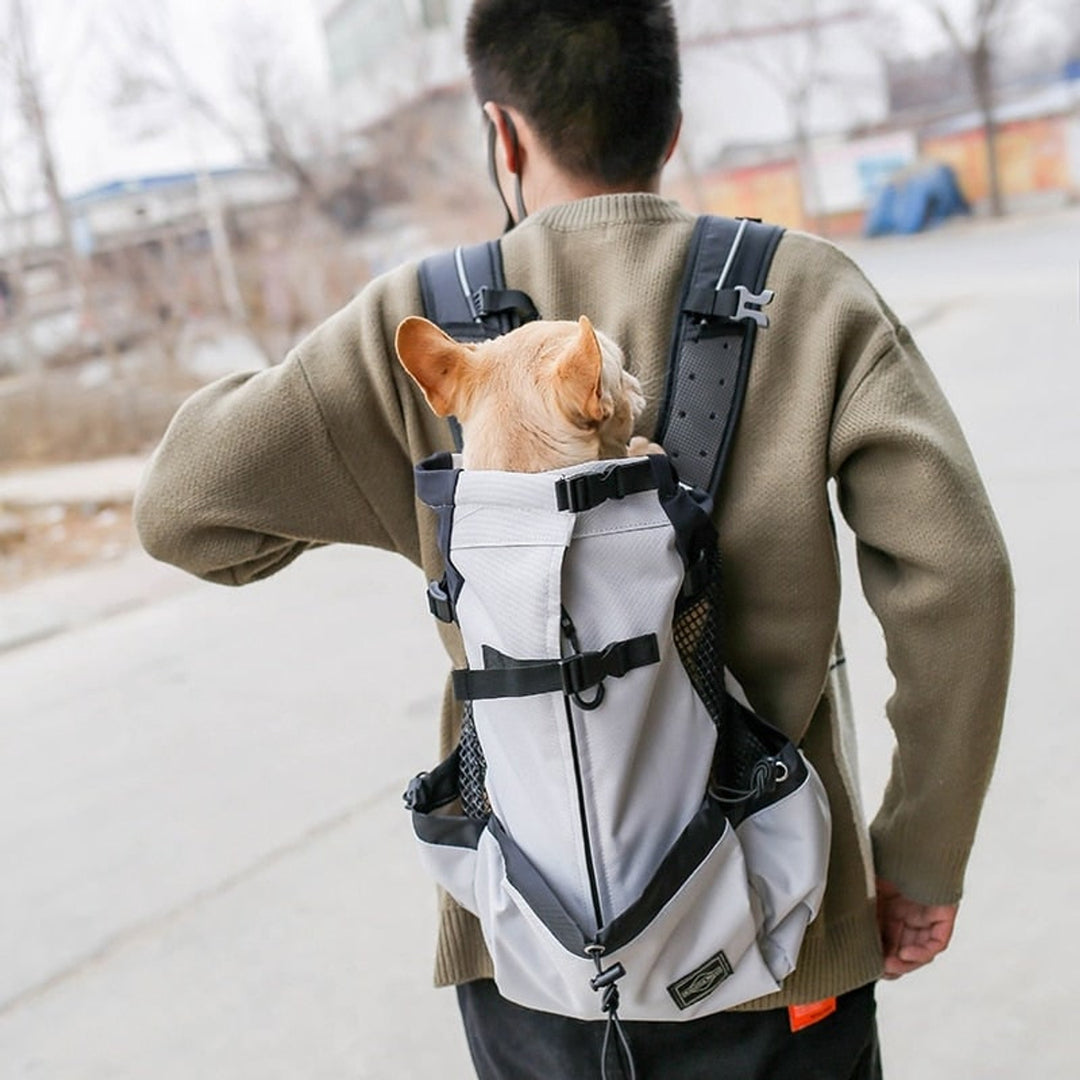 Pet Travel Backpack with Secure Mesh Design and Side Pocket - Image 1