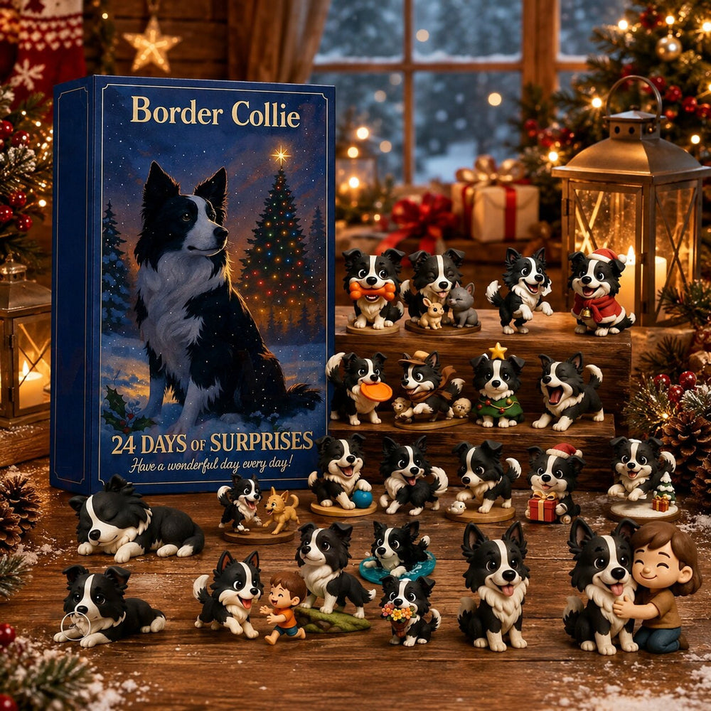 Plastic 2026 Box Border Collie Advent Calendar - Image 1