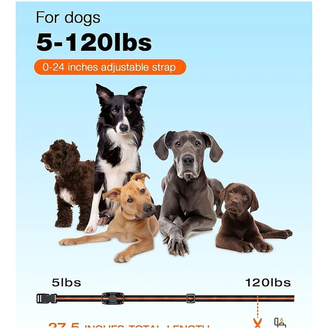 Premium 1000m Remote Dog Training Collar With Waterproof Rechargeable E-Collar - Image 9