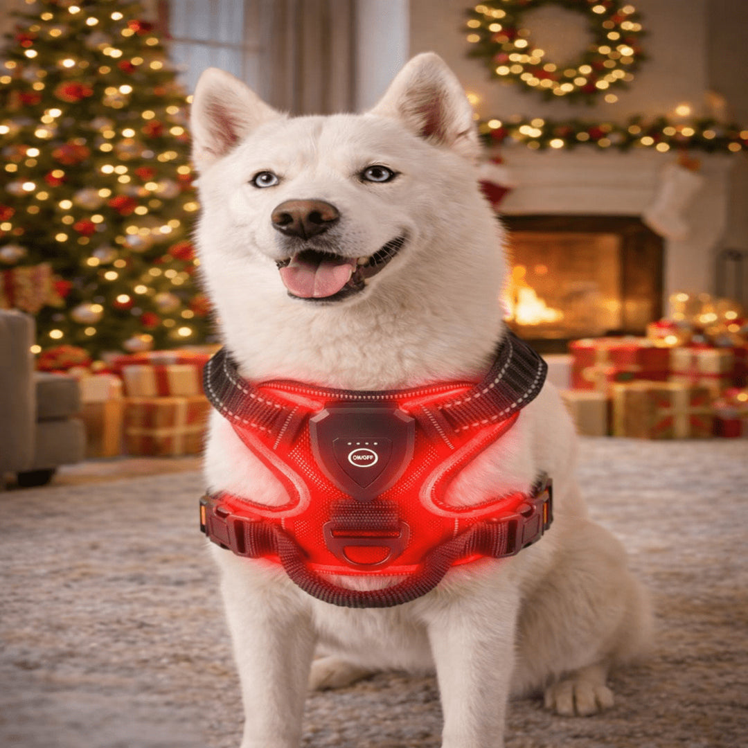Rechargeable LED Dog Harness With Reflective Strips For Night Walking No-Pull - Image 1