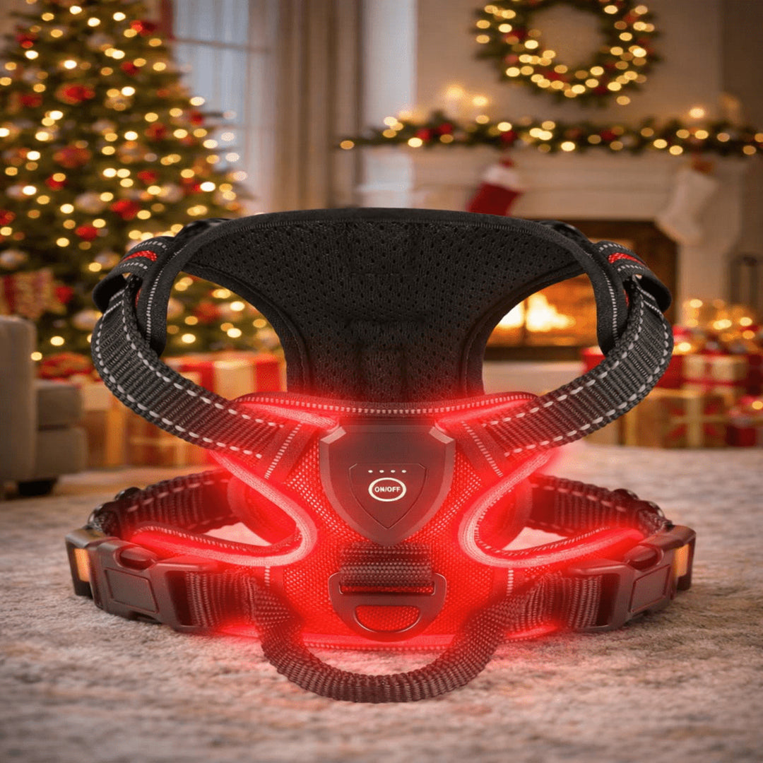 Rechargeable LED Dog Harness With Reflective Strips For Night Walking No-Pull - Image 8