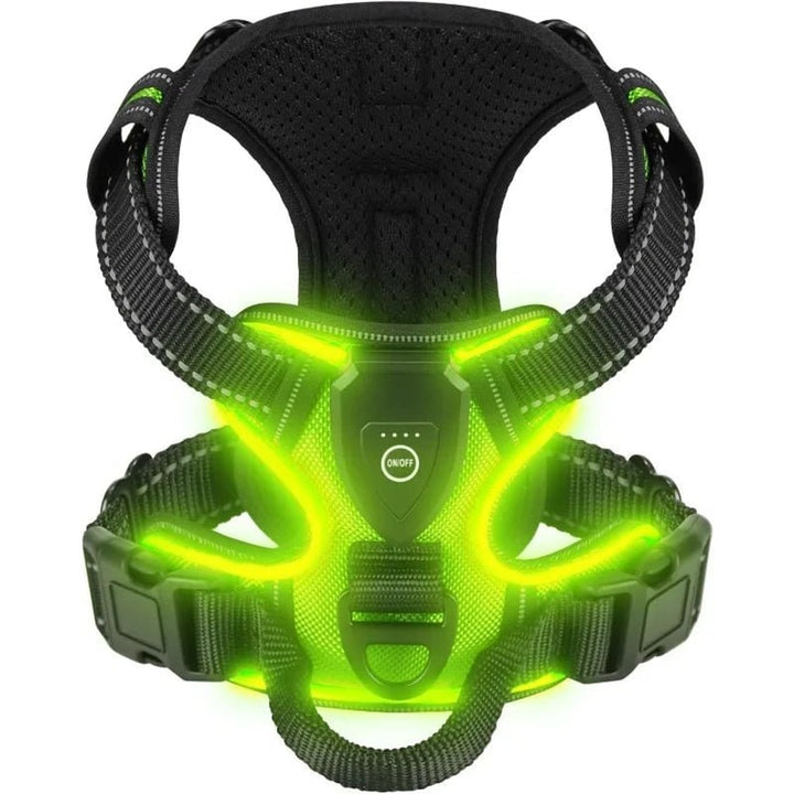 Rechargeable LED Dog Harness With Reflective Strips For Night Walking No-Pull - Image 2