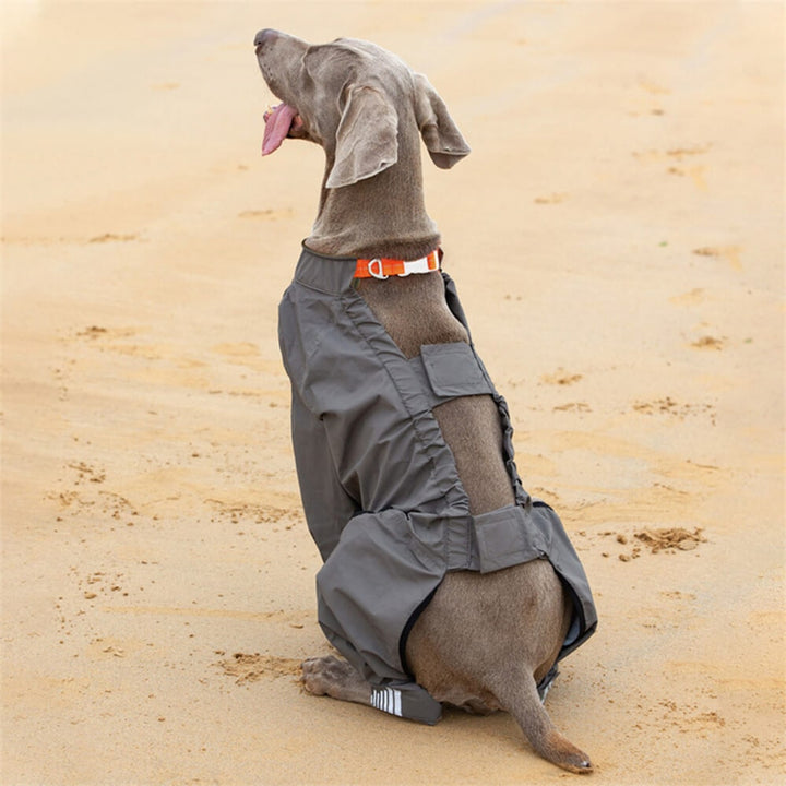 Sandsberg032519 Reflective Waterproof Raincoat For Dogs Four Legs - Image 9