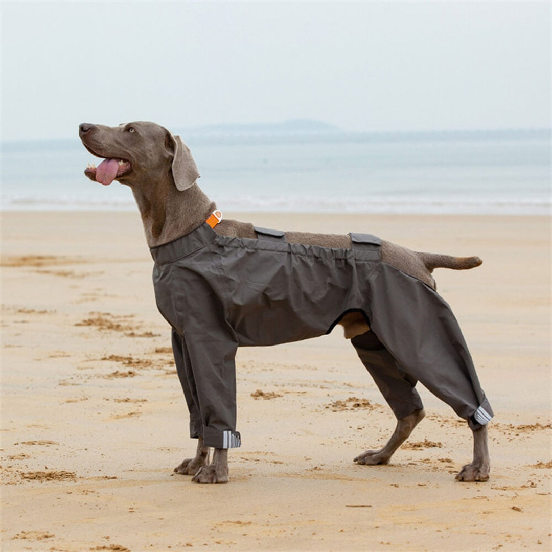 Sandsberg032519 Reflective Waterproof Raincoat For Dogs Four Legs - Image 7
