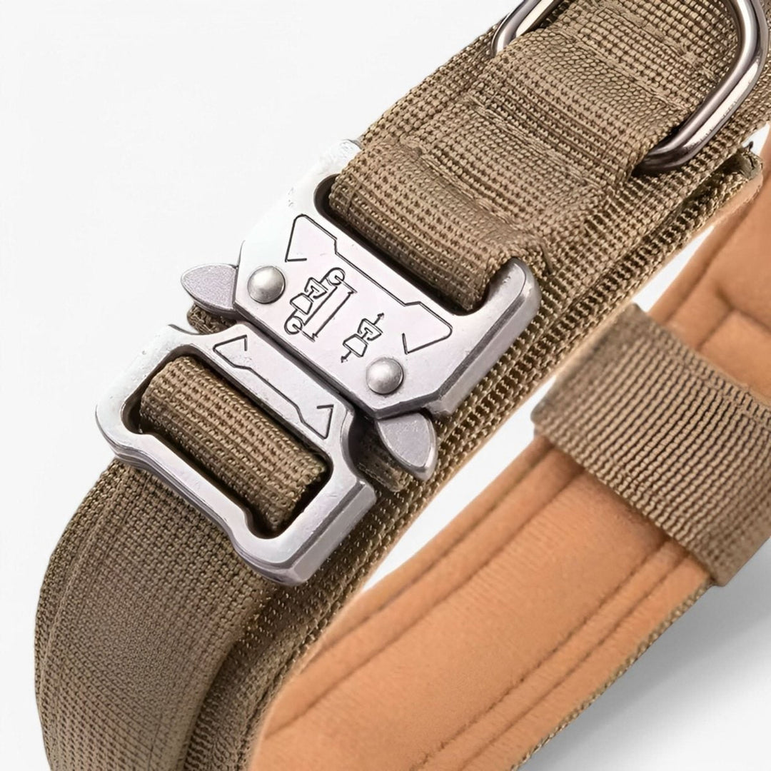 Tactical Dog Collar With Padded Interior And Integrated Control Handle For Training - Image 4
