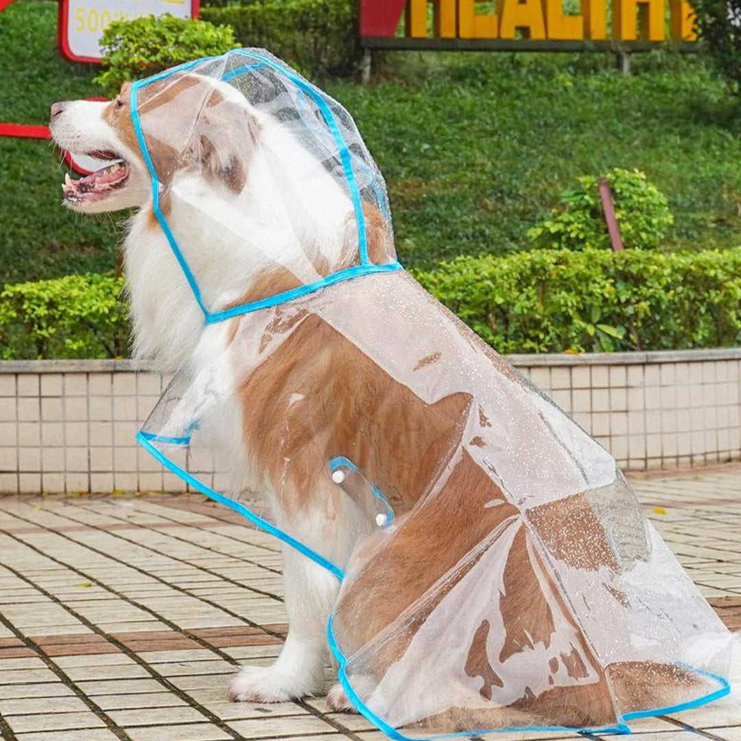 Transparent Hooded Pet Raincoat Waterproof Dog Raincoat For Rainy Walks - Image 2