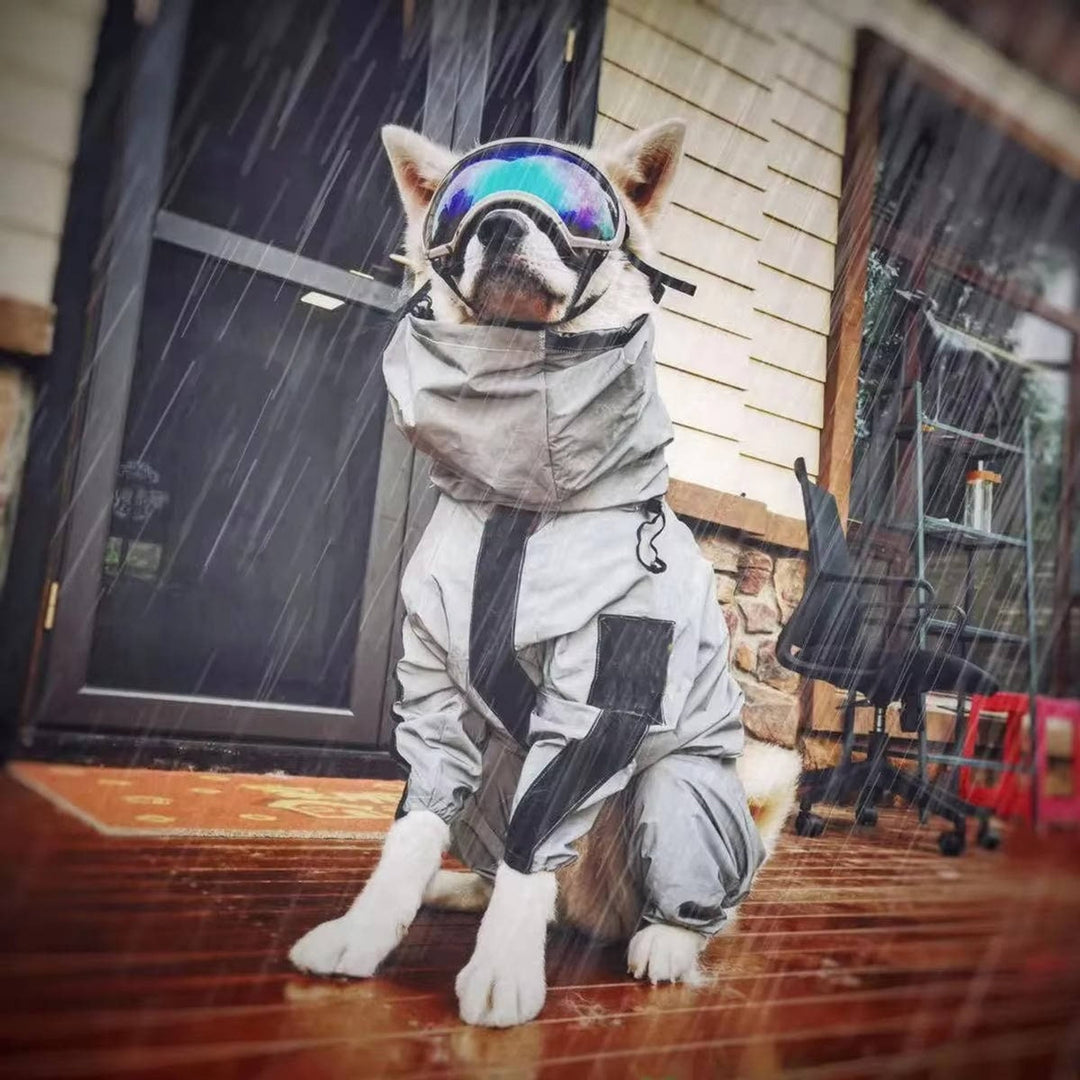 Waterproof Full Body Dog Raincoat With Reflective Strips And Storage Pocket - Image 2
