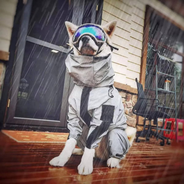 Waterproof Full Body Dog Raincoat With Reflective Strips And Storage Pocket - Image 2
